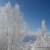 DSC_4335.JPG