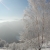 DSC_4338.JPG
